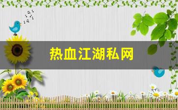 热血江湖私网(热血江湖私网官网) (6)