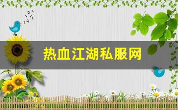 热血江湖私服网 (2)